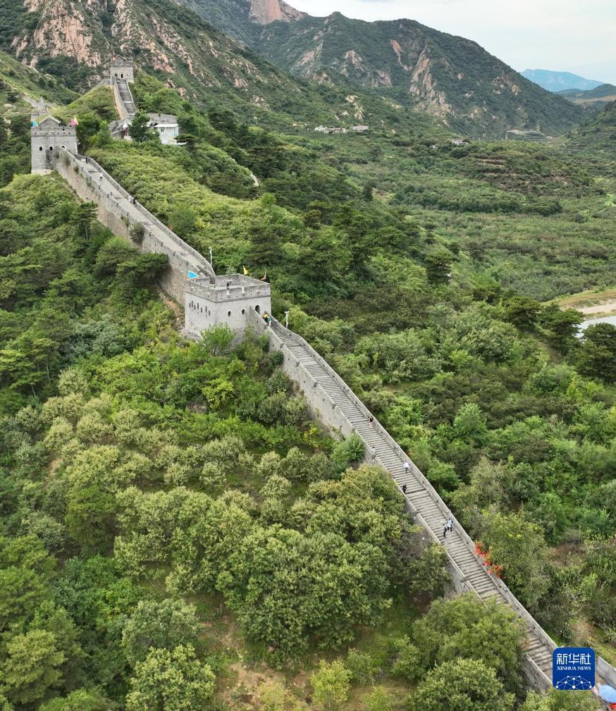搜狗浏览器